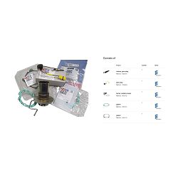 SET EBERSPACHER AIRTRONIC D2 - DAF OE