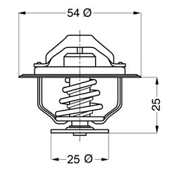 TERMOSTAT RVI